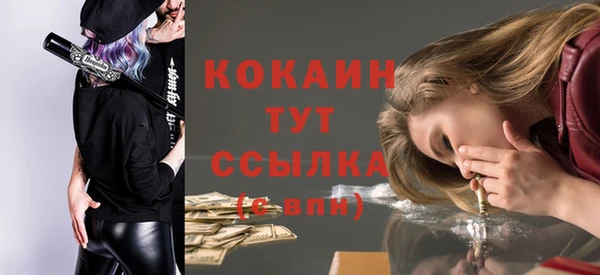 первитин Новозыбков