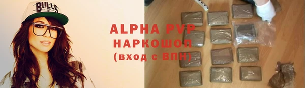СК Новокубанск