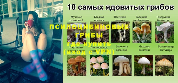 экстази Новодвинск