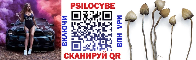 Галлюциногенные грибы Magic Shrooms Игарка