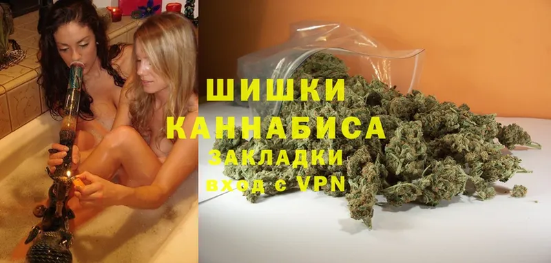 Каннабис OG Kush  Игарка 